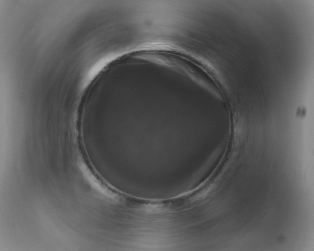 X0000112861422200909041542