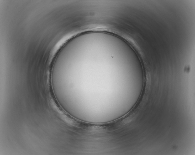 X0000112861424200909041542