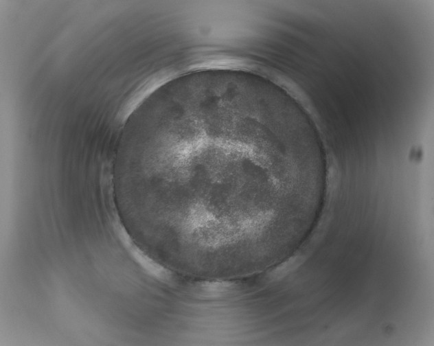 X0000112861425200909041543
