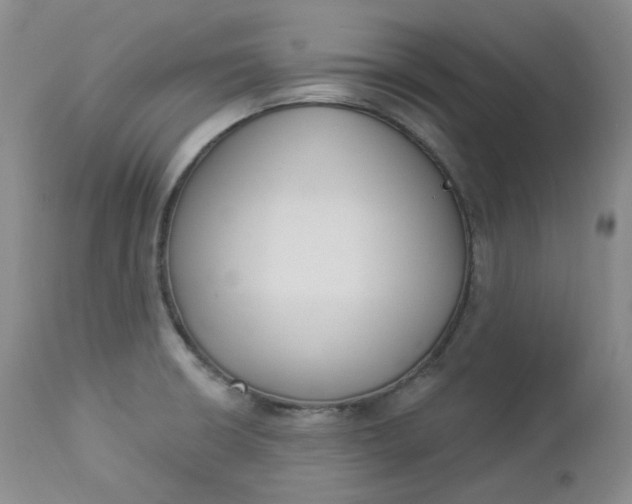 X0000112861426200909041543