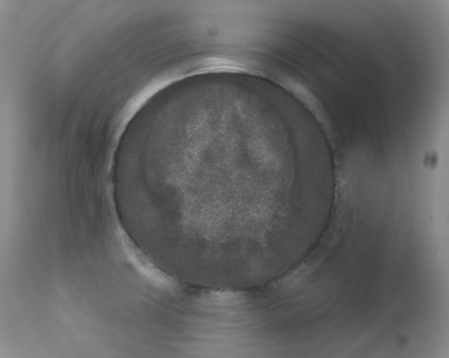 X0000112861427200909041543