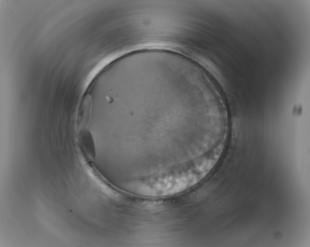 X0000112861428200909041543