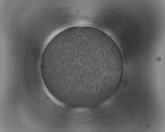X0000112861429200909041543