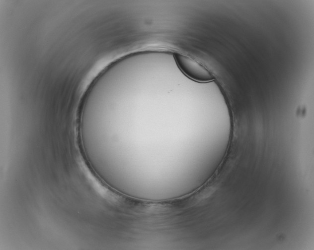 X0000112861430200909041543