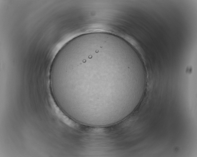 X0000112861431200909041543