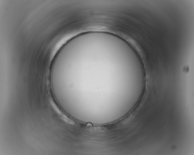 X0000112861432200909041543