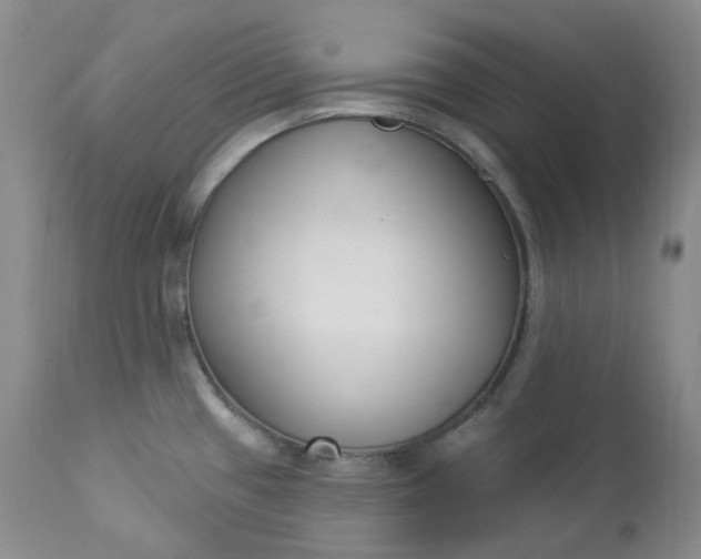 X0000112861433200909041543