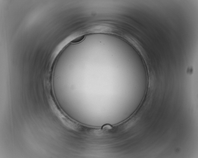 X0000112861434200909041543