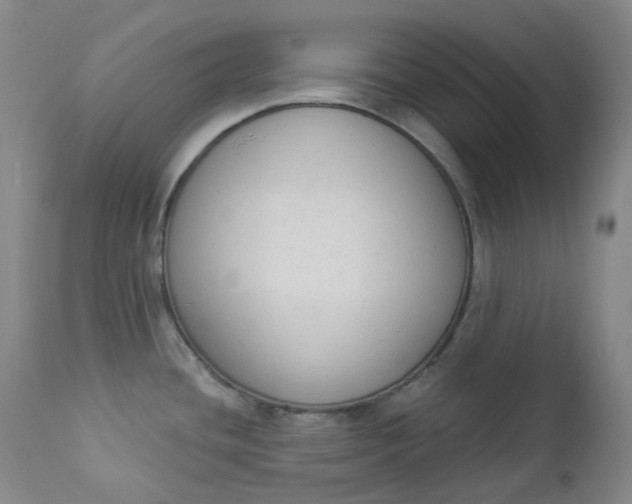 X0000112861436200909041543