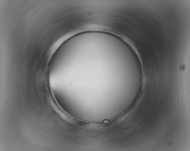 X0000112861437200909041543