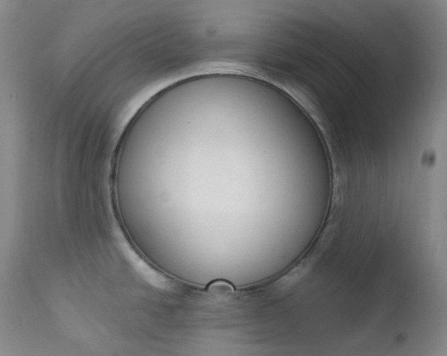 X0000112861438200909041543