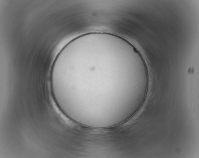 X0000112861440200909041543