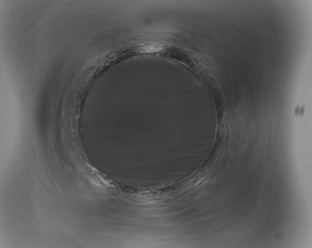 X0000112861441200909041542