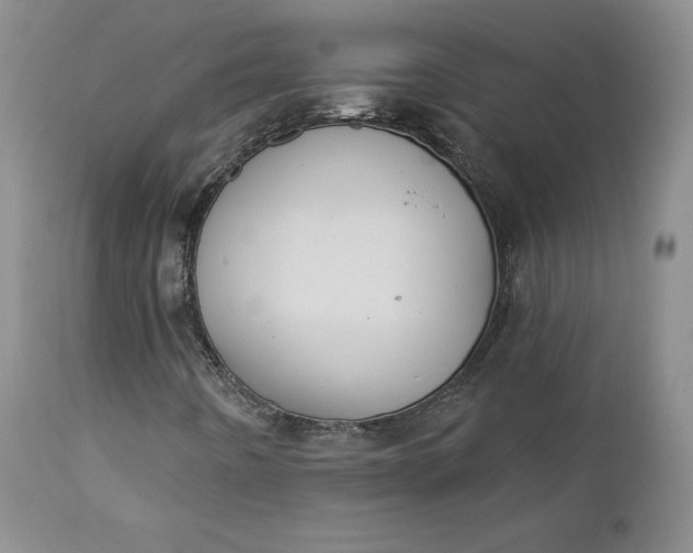 X0000112861442200909041542