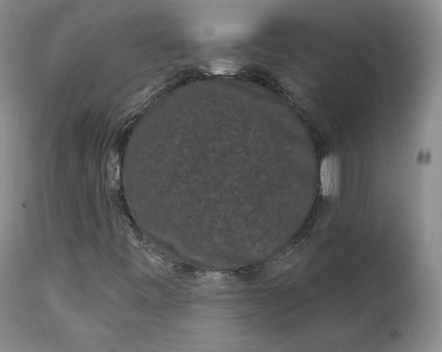 X0000112861443200909041542
