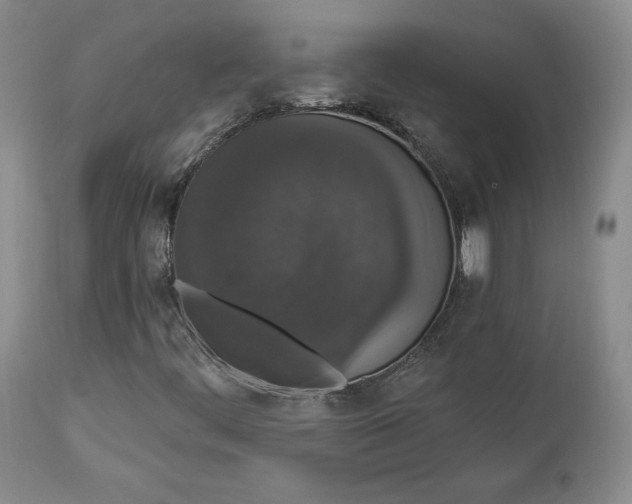 X0000112861444200909041542