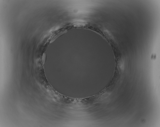 X0000112861445200909041542