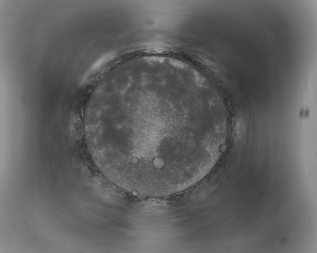 X0000112861446200909041542