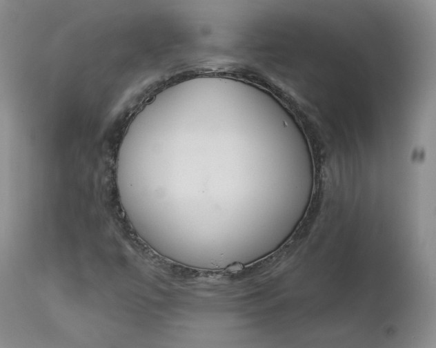 X0000112861447200909041542