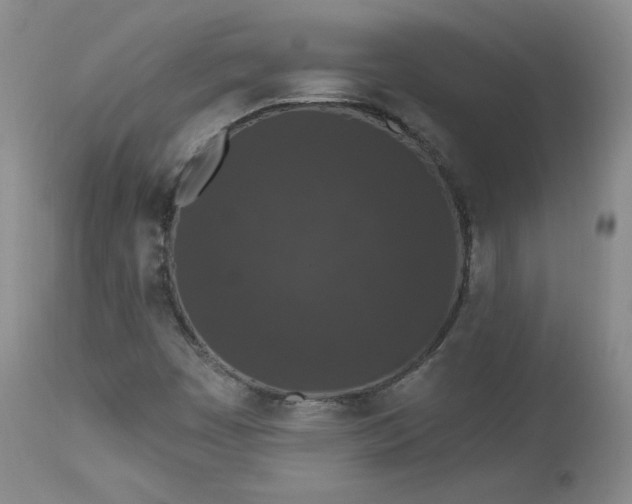 X0000112861449200909041542