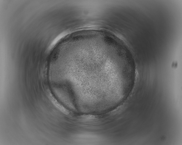 X0000112861450200909041542