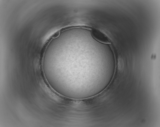 X0000112861452200909041542