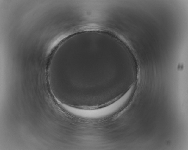 X0000112861453200909041542