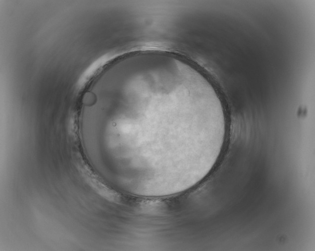 X0000112861454200909041542