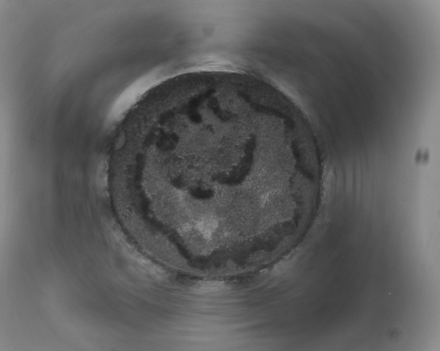 X0000112861455200909041542