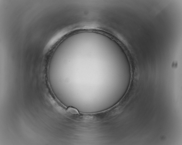 X0000112861456200909041542