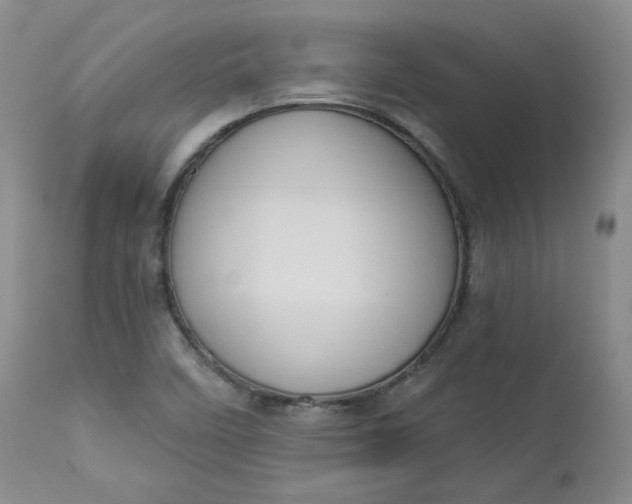 X0000112861458200909041542