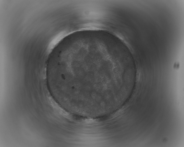 X0000112861459200909041542
