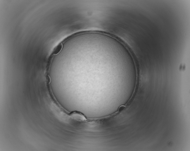 X0000112861460200909041542