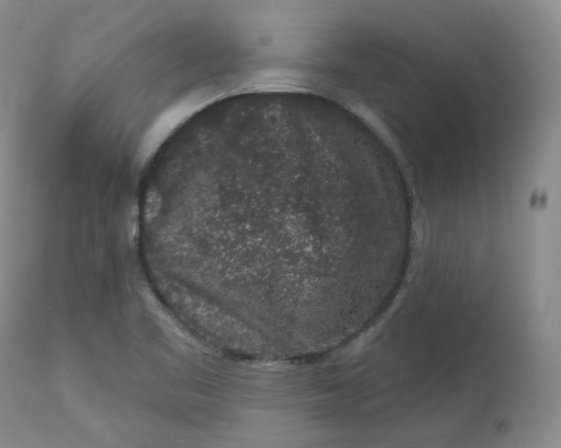 X0000112861461200909041542