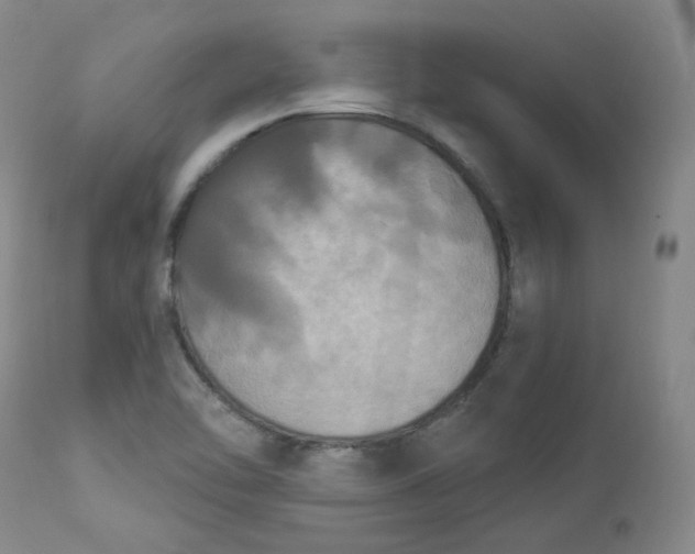 X0000112861462200909041542