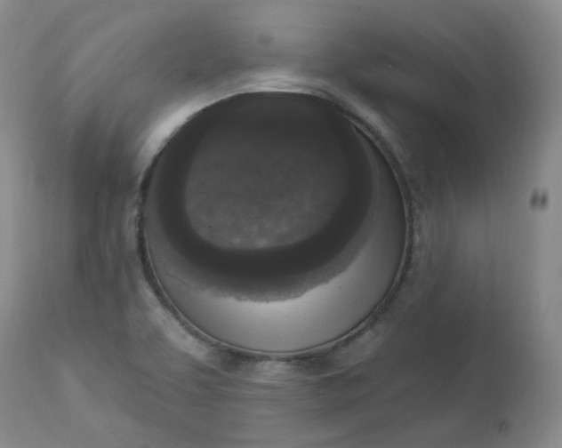 X0000112861463200909041542