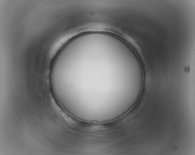 X0000112861464200909041541
