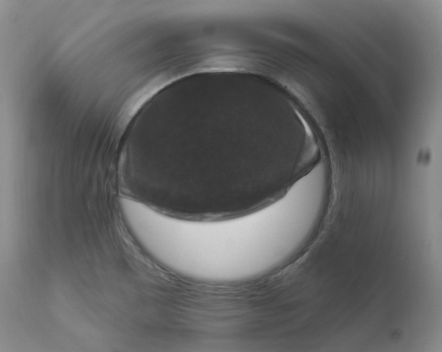 X0000112861465200909041541