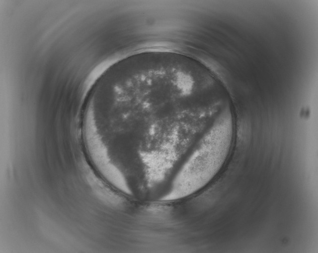 X0000112861466200909041541