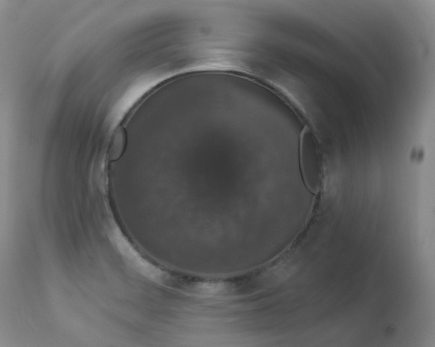 X0000112861468200909041541