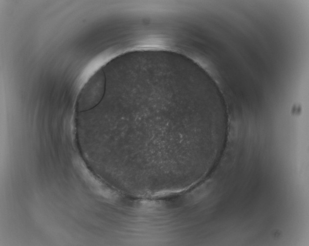 X0000112861469200909041541