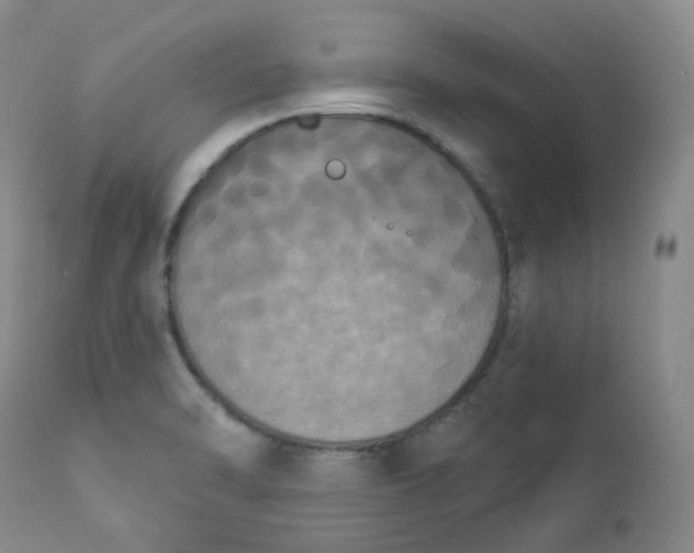 X0000112861470200909041541