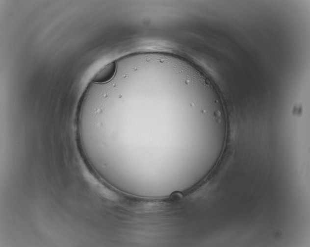 X0000112861471200909041541