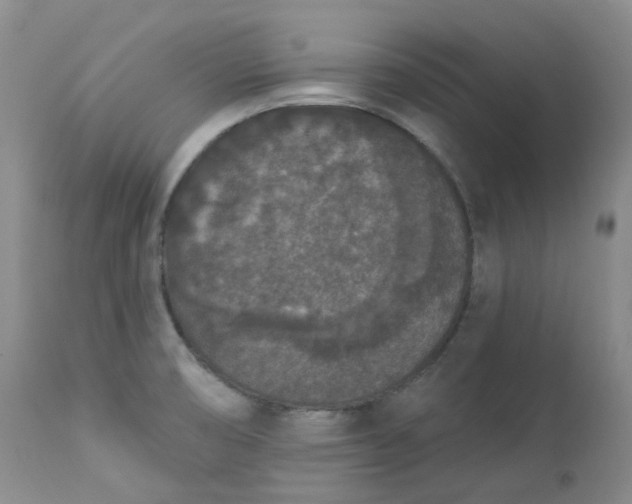 X0000112861474200909041541