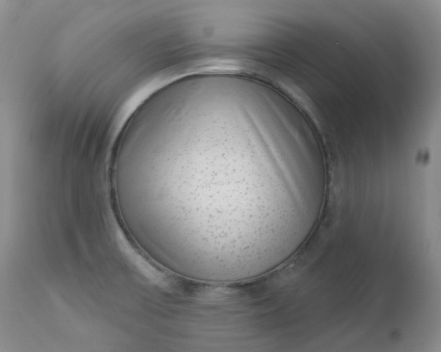 X0000112861475200909041541