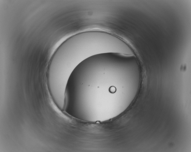 X0000112861476200909041541