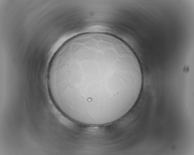 X0000112861478200909041541