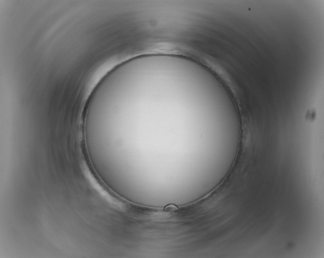 X0000112861479200909041541