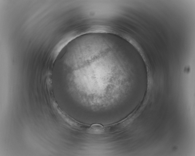 X0000112861481200909041541