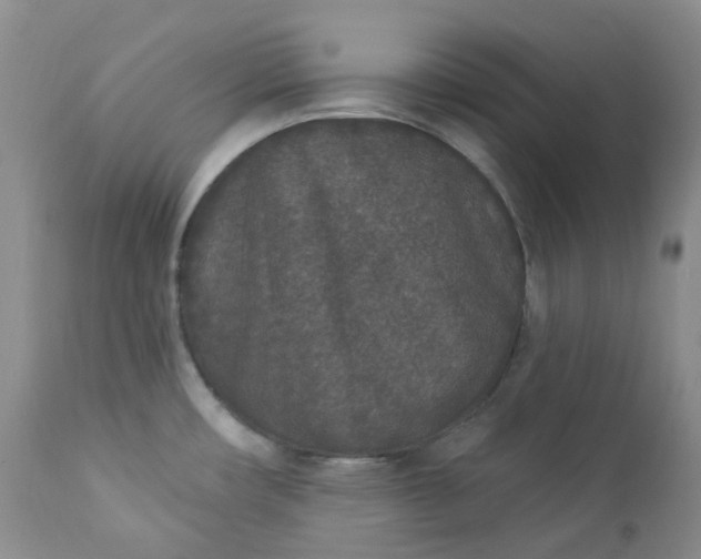 X0000112861482200909041541
